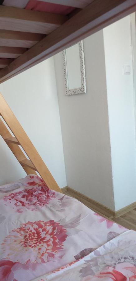 Apartman Zvoncica ヴーシ エクステリア 写真