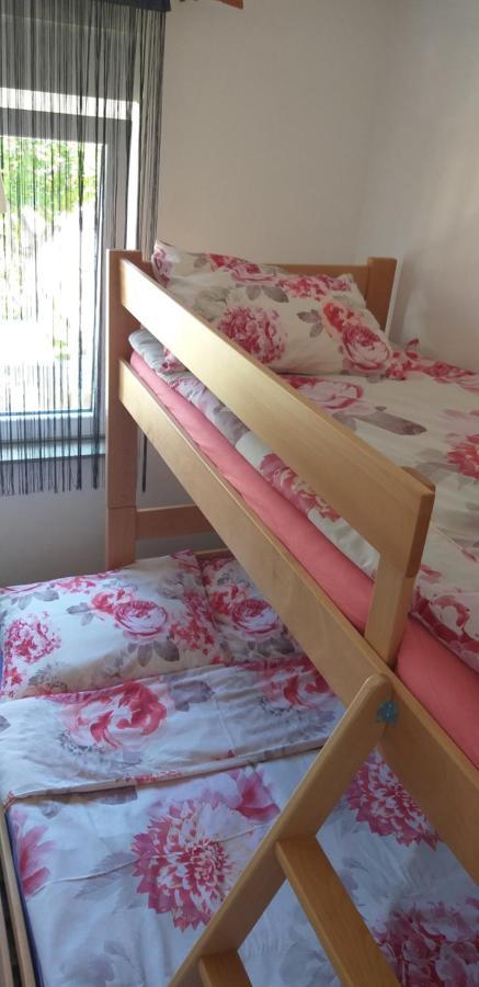 Apartman Zvoncica ヴーシ エクステリア 写真