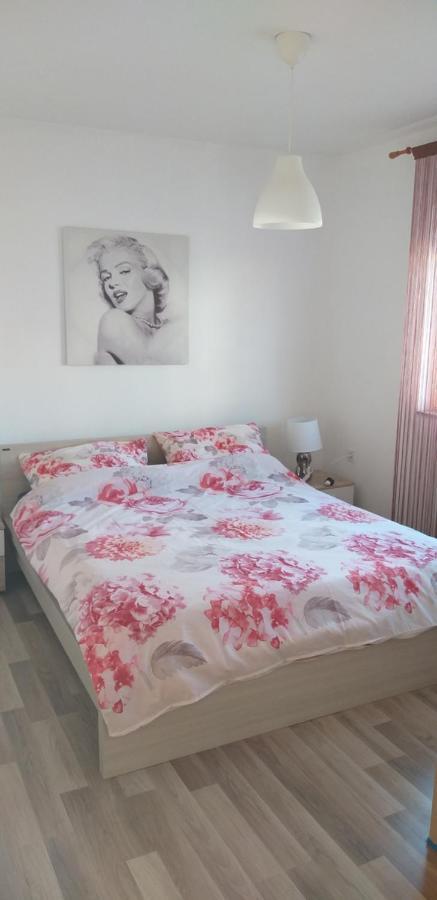 Apartman Zvoncica ヴーシ エクステリア 写真