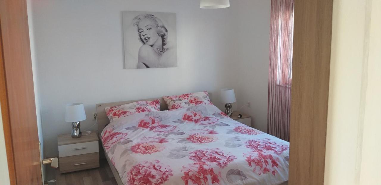 Apartman Zvoncica ヴーシ エクステリア 写真