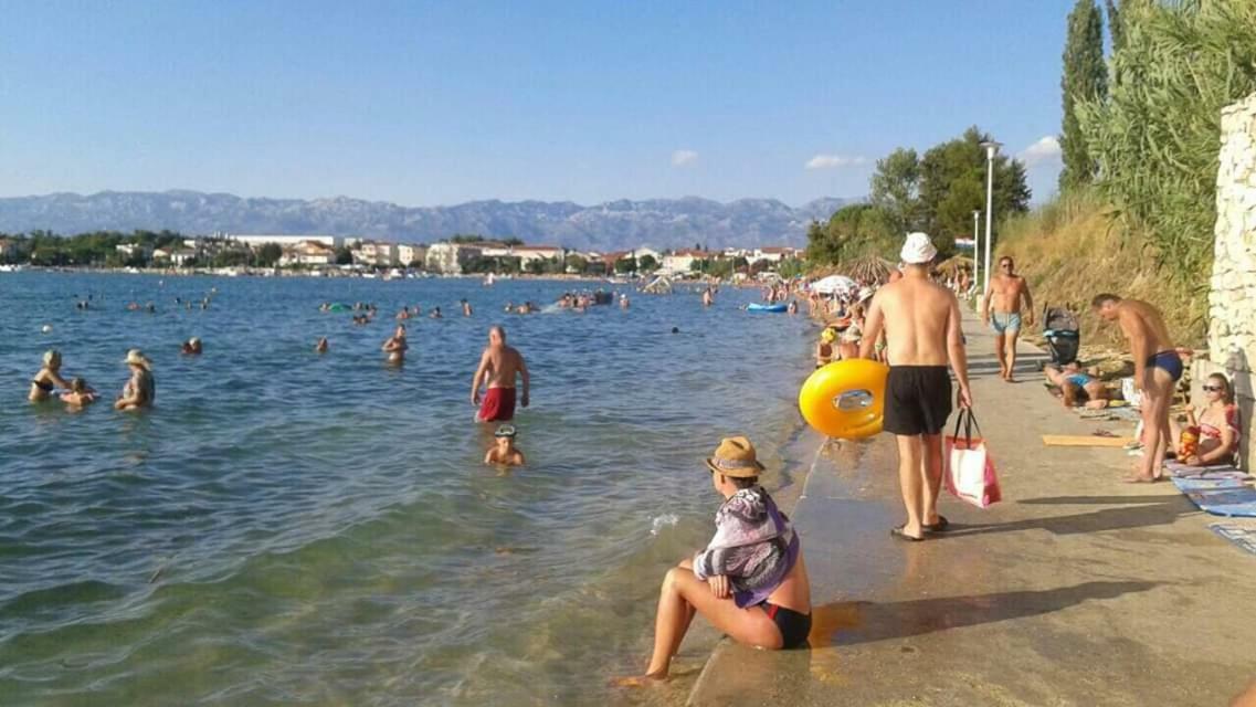 Apartman Zvoncica ヴーシ エクステリア 写真